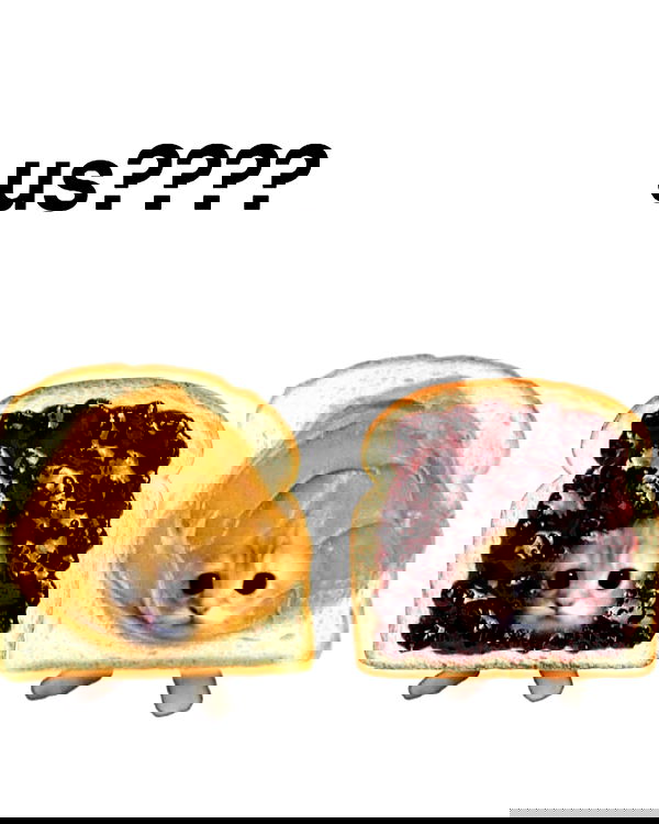 iamm3dusa image ~ Altpins