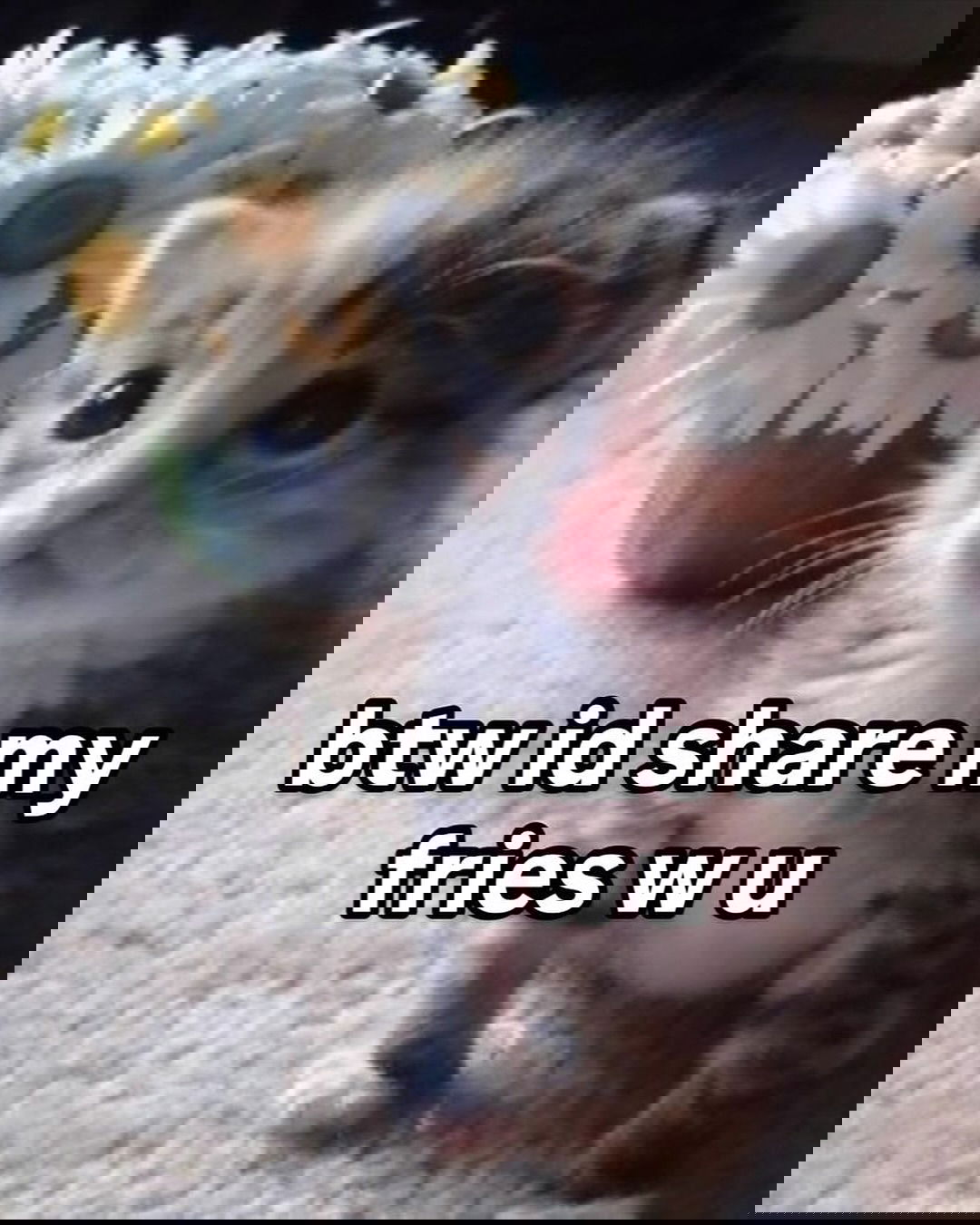 iamm3dusa instagram image archive image