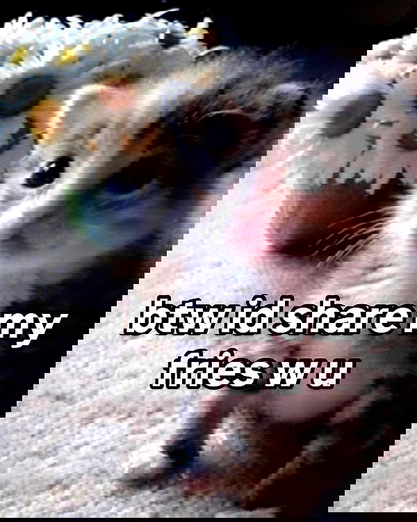 iamm3dusa image ~ Altpins