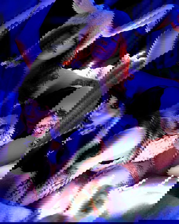 iamm3dusa image ~ Altpins