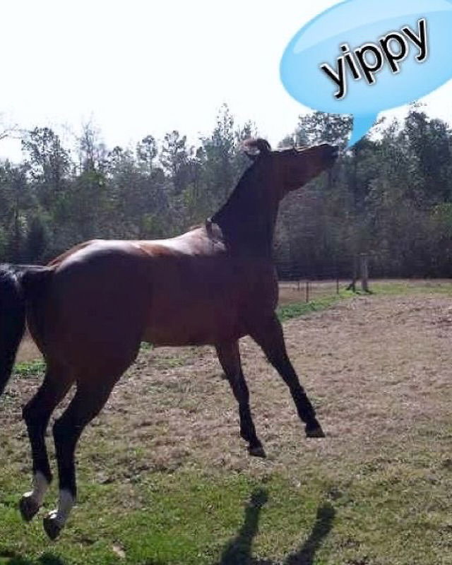 iamm3dusa instagram image archive image