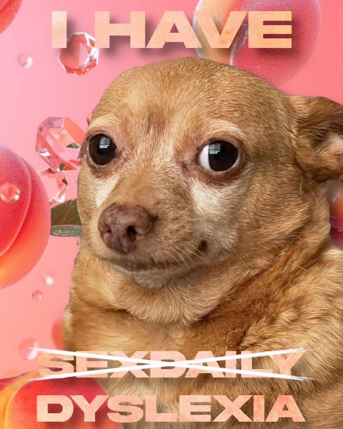 iamm3dusa instagram image archive image