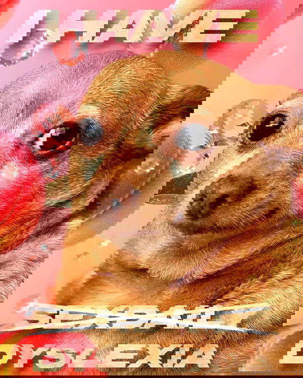 iamm3dusa image ~ Altpins