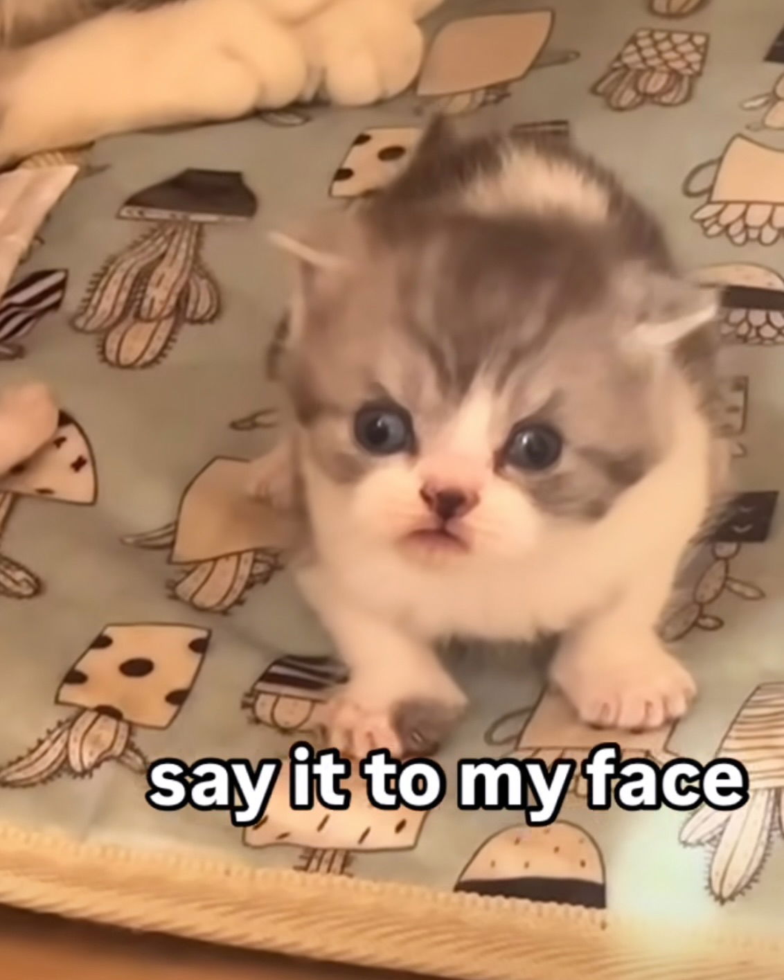 iamm3dusa instagram image archive image