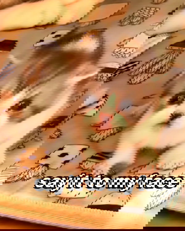 iamm3dusa image ~ Altpins