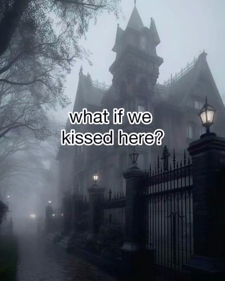 iamm3dusa instagram image archive image