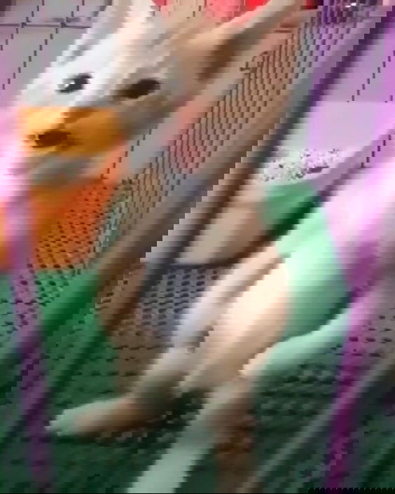 iamm3dusa instagram image archive image