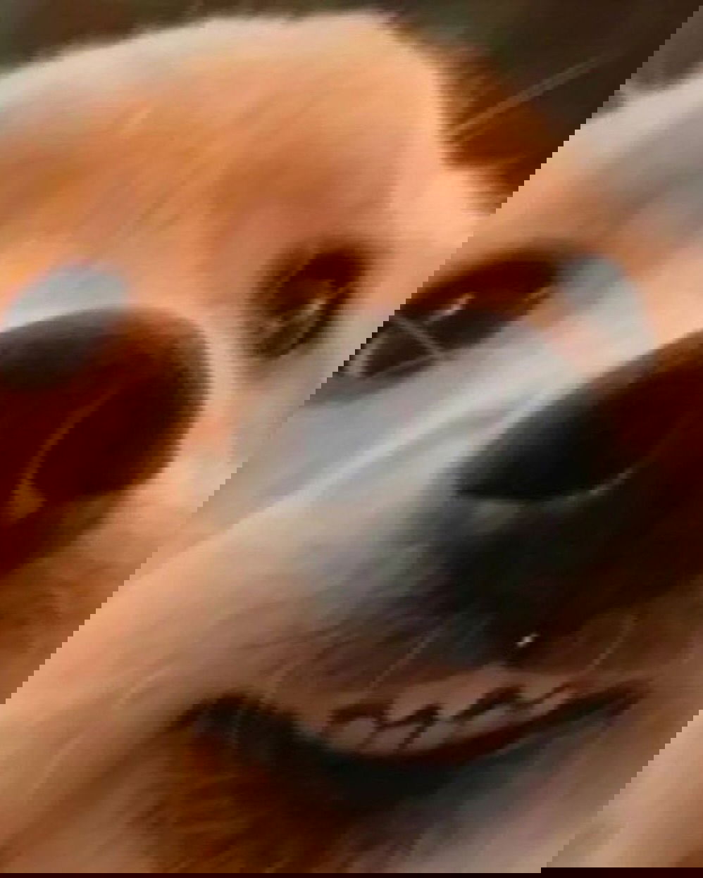 iamm3dusa instagram image archive image