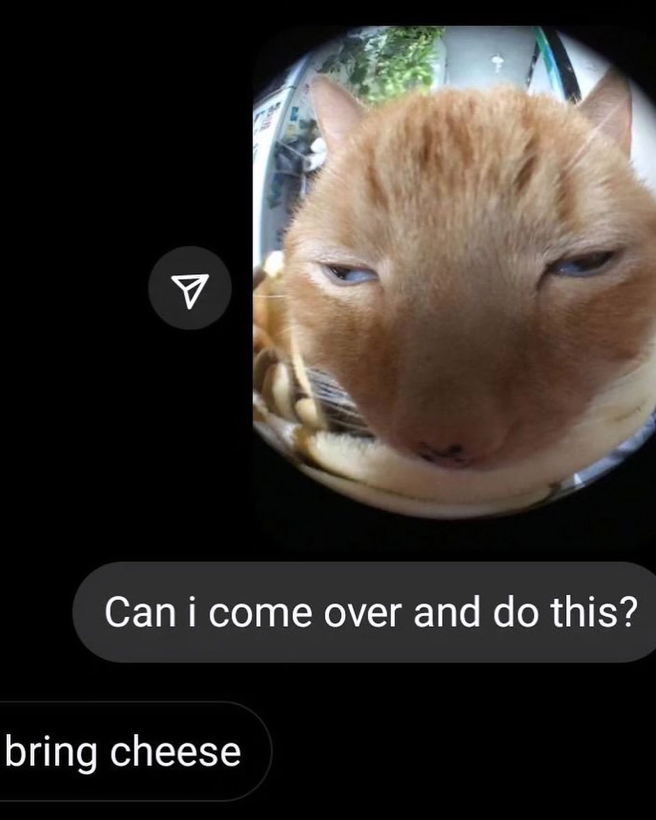 iamm3dusa instagram image archive image