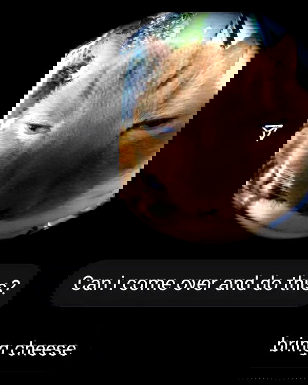 iamm3dusa image ~ Altpins