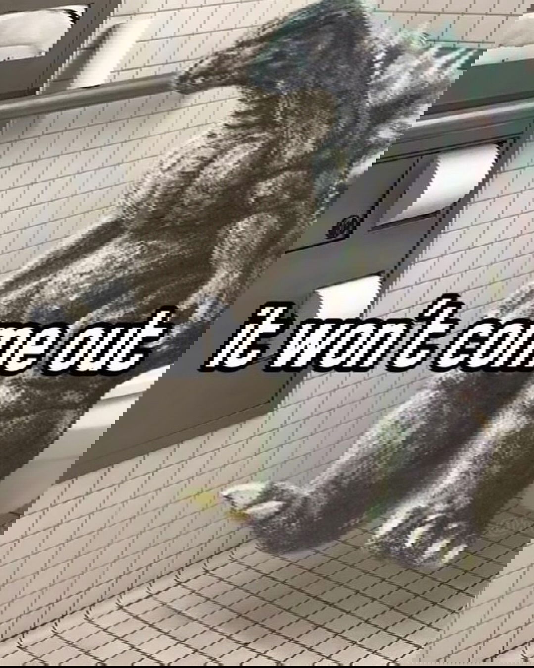 iamm3dusa instagram image archive image