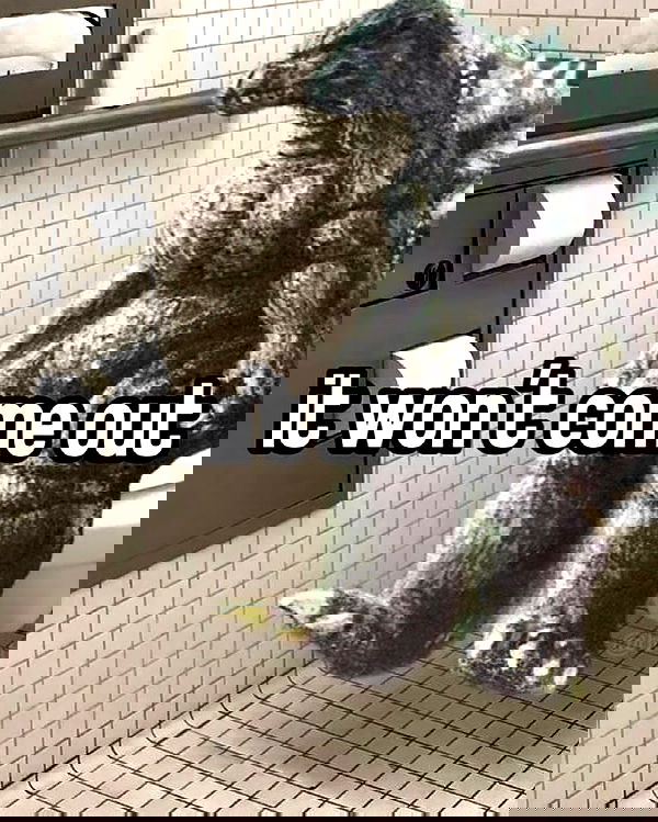 iamm3dusa image ~ Altpins