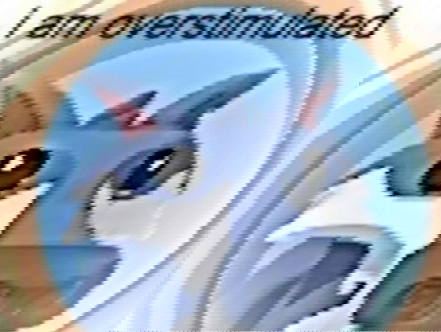 iamm3dusa instagram image archive image