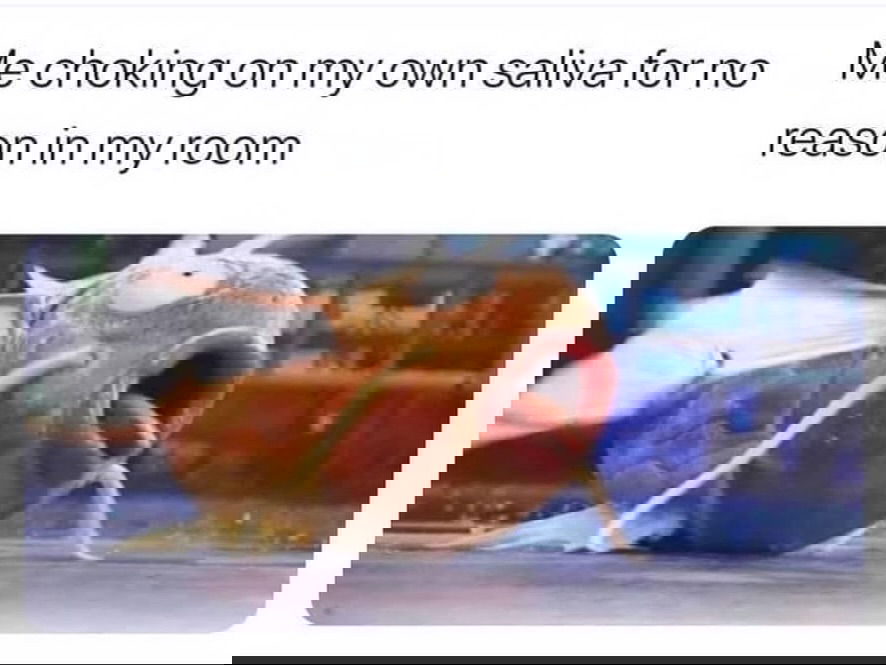 iamm3dusa instagram image archive image