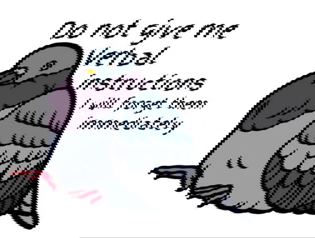 iamm3dusa instagram image archive image