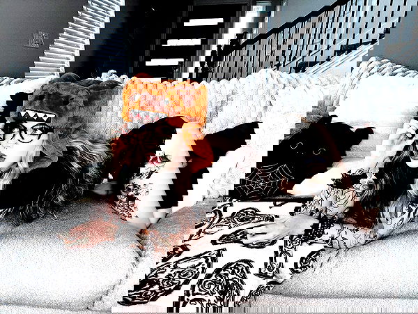 iamm3dusa image ~ Altpins