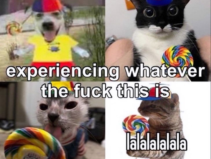 iamm3dusa instagram image archive image