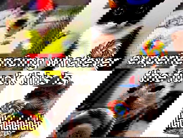 iamm3dusa image ~ Altpins