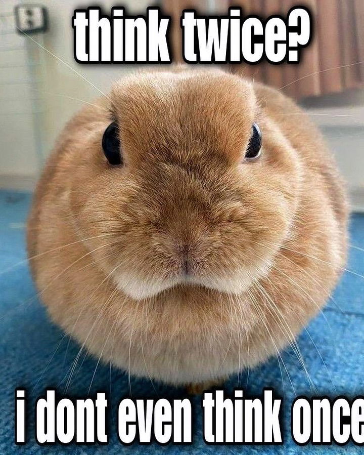 iamm3dusa instagram image archive image