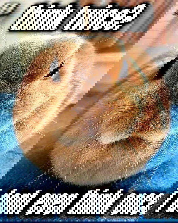 iamm3dusa image ~ Altpins