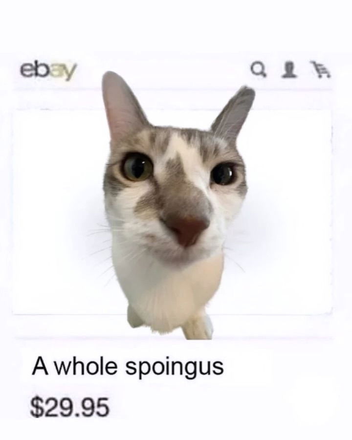 iamm3dusa instagram image archive image