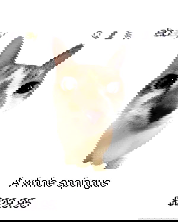 iamm3dusa image ~ Altpins