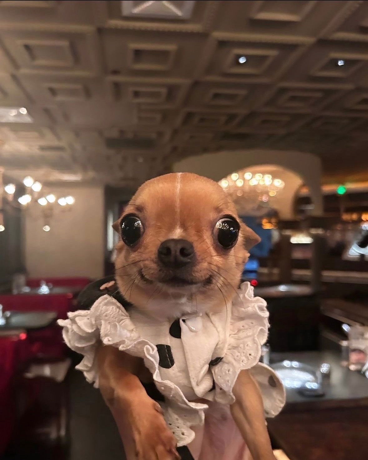 iamm3dusa instagram image archive image