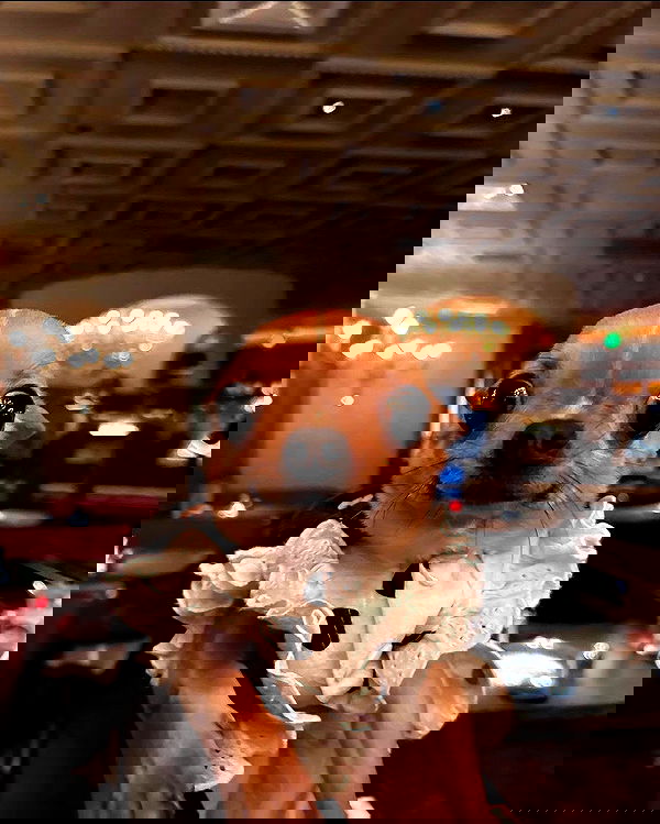 iamm3dusa image ~ Altpins