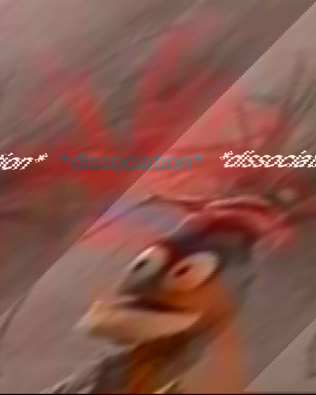 iamm3dusa instagram image archive image