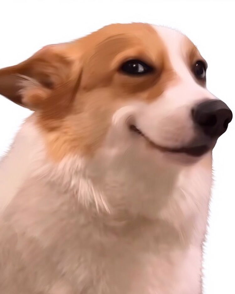 iamm3dusa instagram image archive image