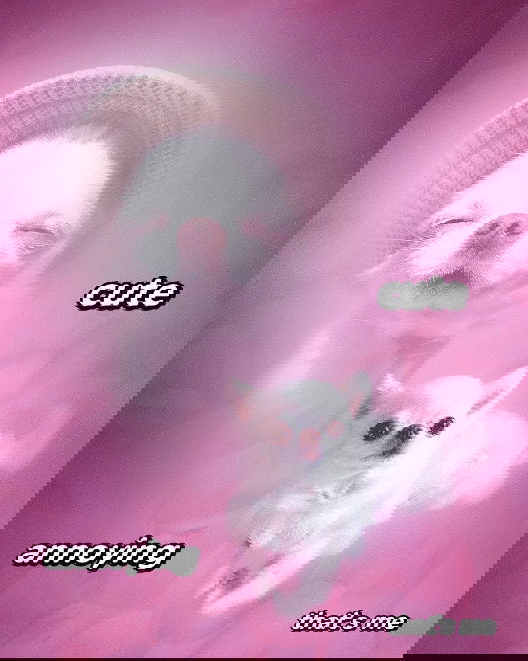 iamm3dusa instagram image archive image