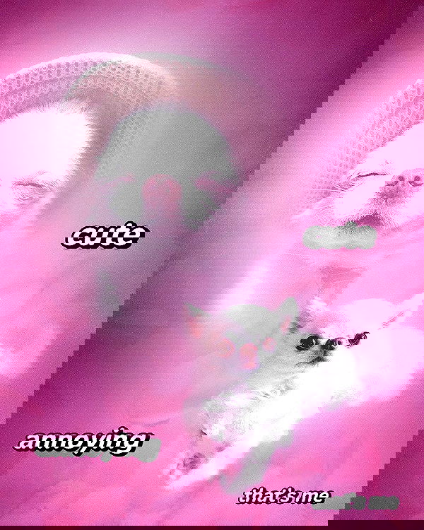 iamm3dusa image ~ Altpins