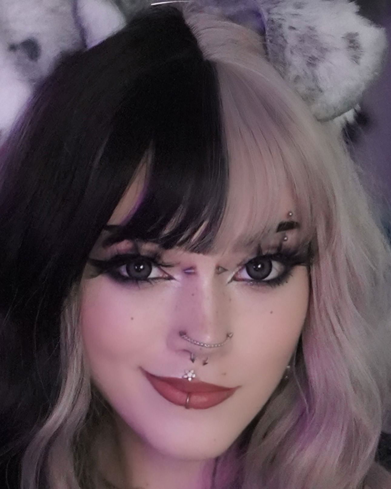 iamm3dusa instagram image archive image