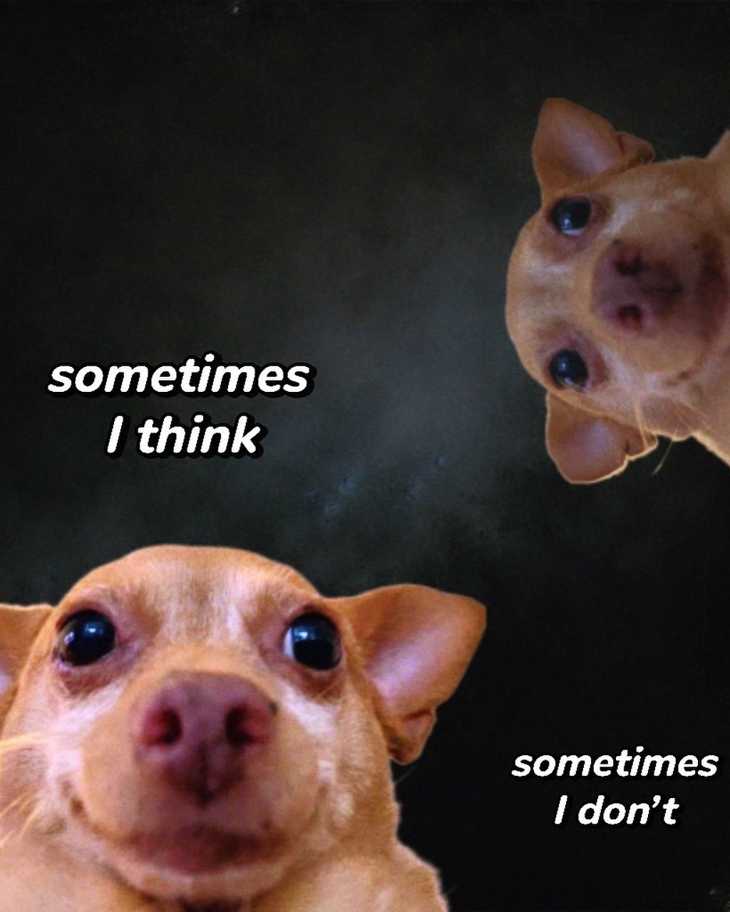 iamm3dusa instagram image archive image