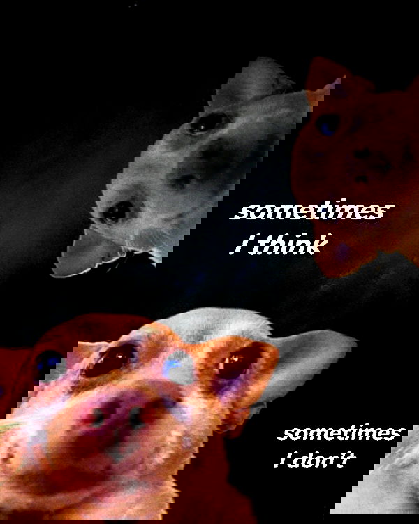 iamm3dusa image ~ Altpins