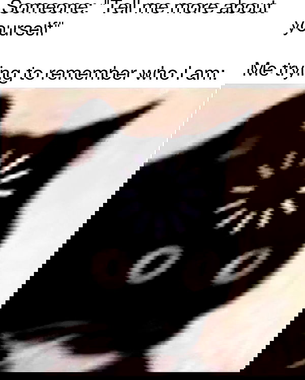 iamm3dusa image ~ Altpins