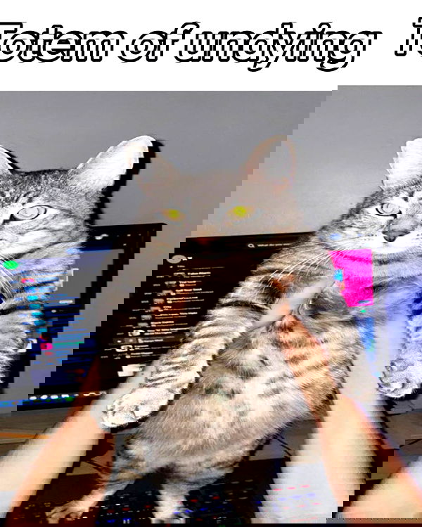 iamm3dusa image ~ Altpins