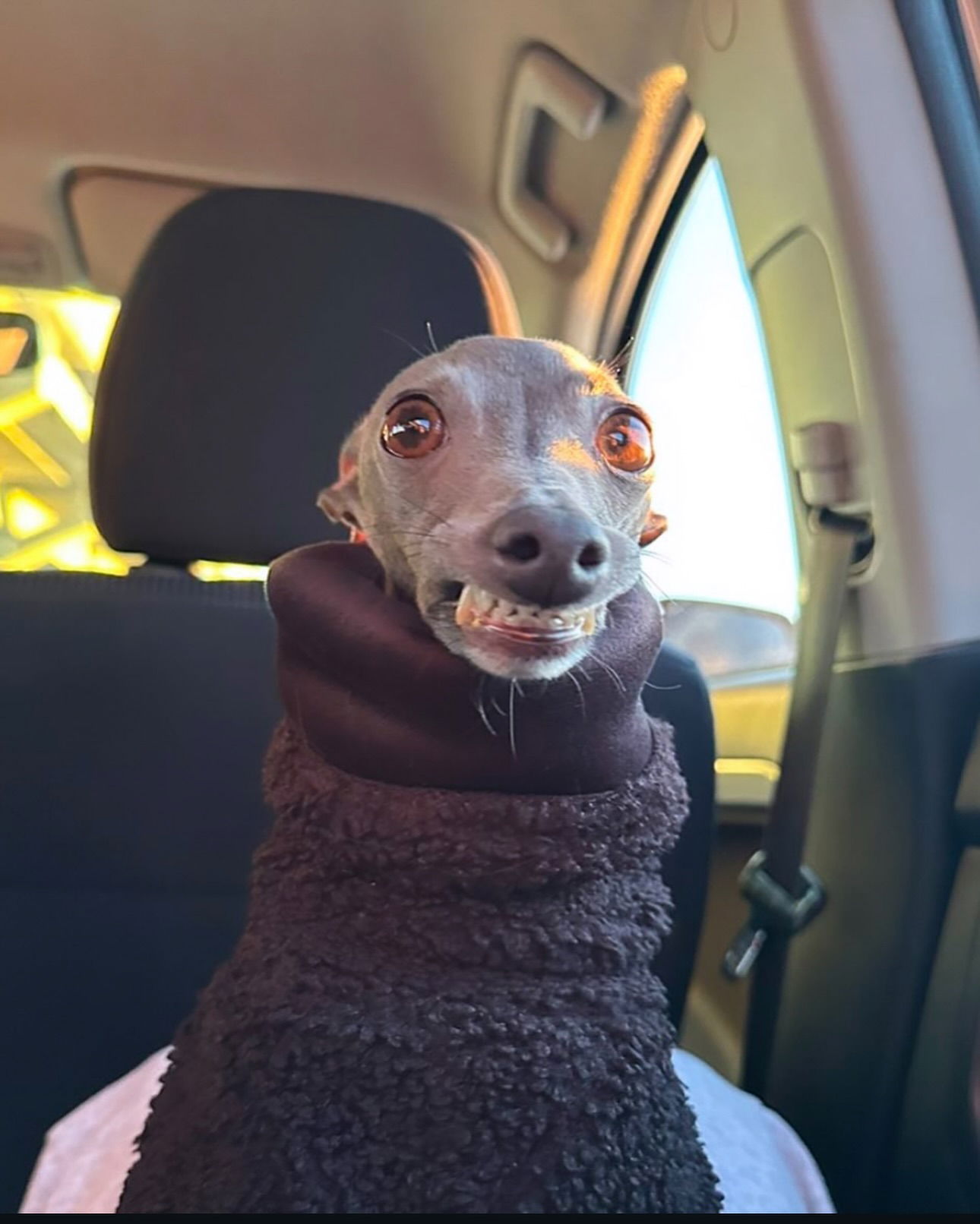 iamm3dusa instagram image archive image