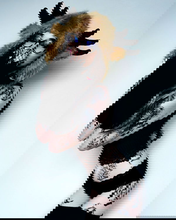 iamm3dusa image ~ Altpins