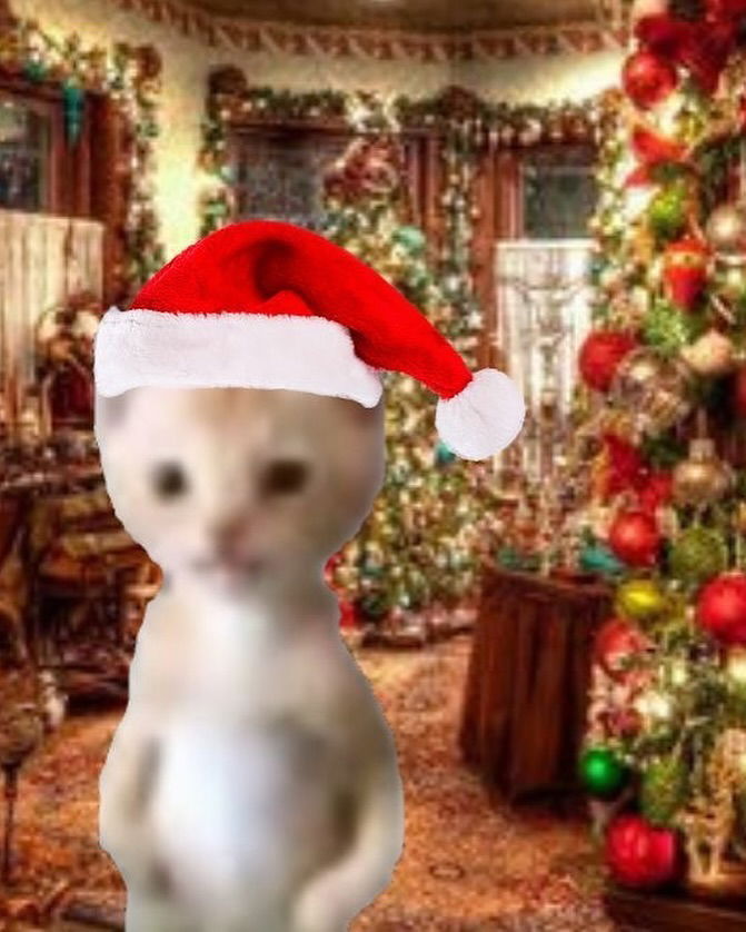 iamm3dusa instagram image archive image