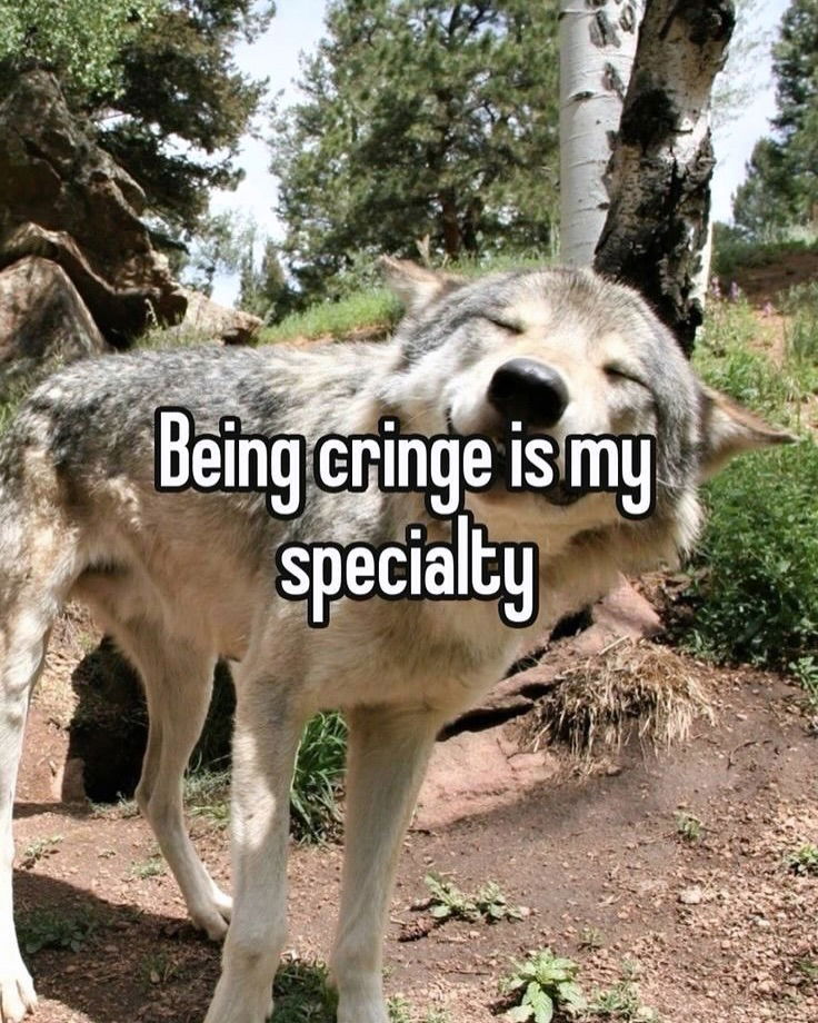 iamm3dusa instagram image archive image