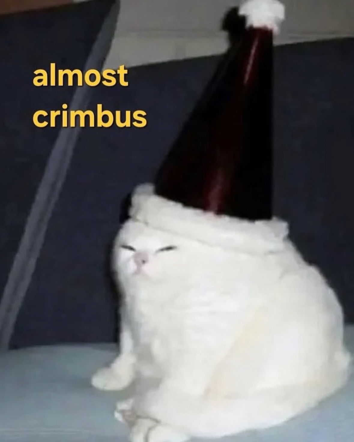 iamm3dusa instagram image archive image