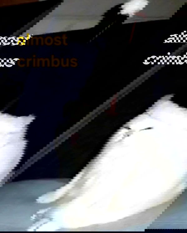 iamm3dusa image ~ Altpins