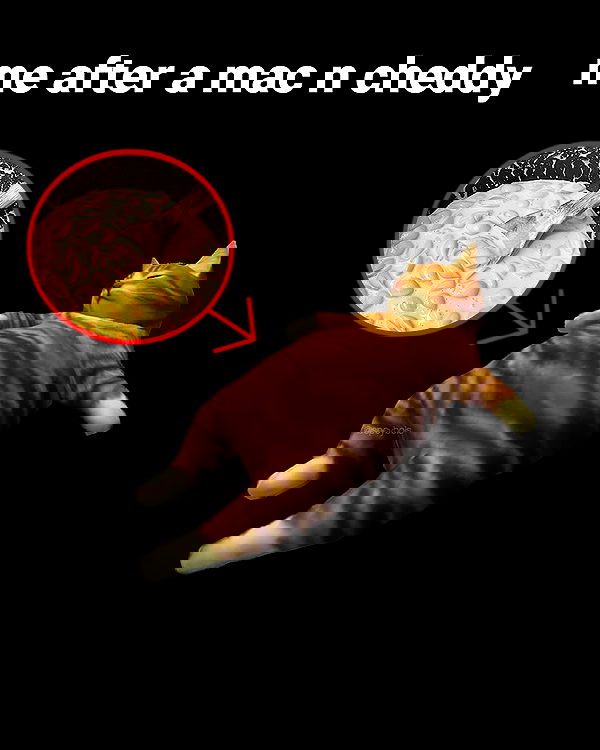 iamm3dusa image ~ Altpins