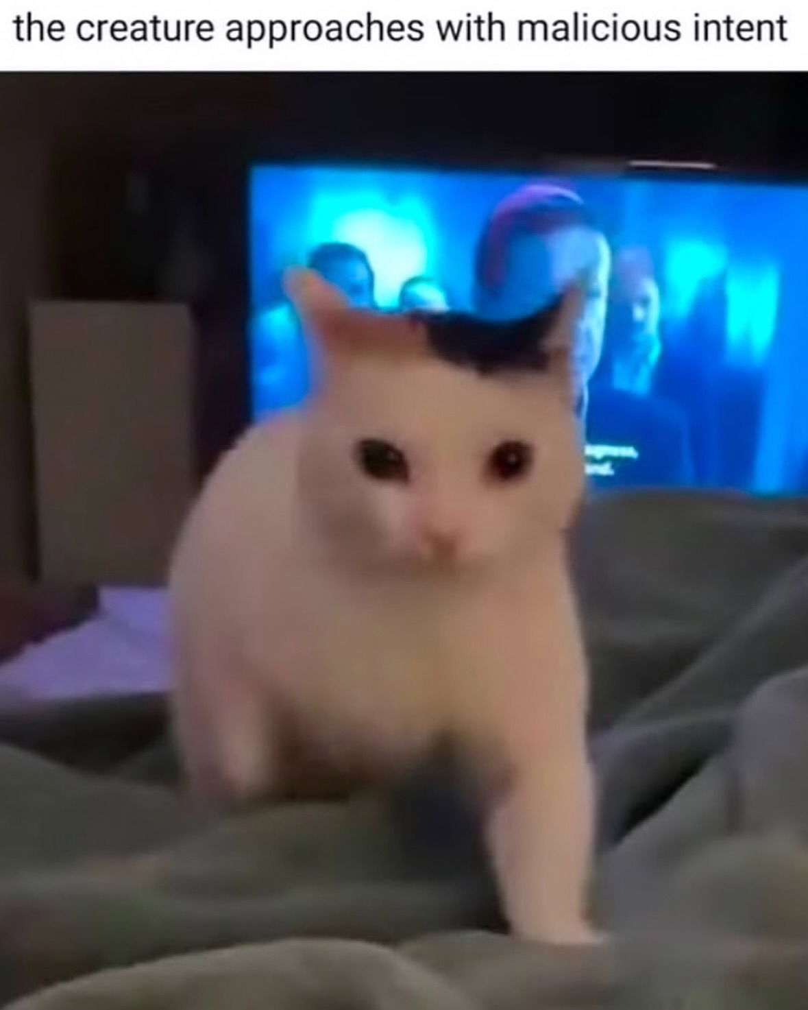 iamm3dusa instagram image archive image