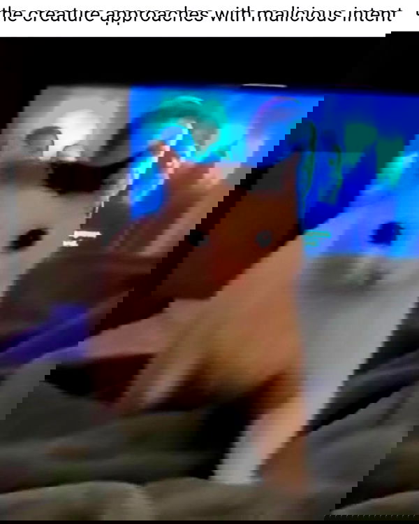 iamm3dusa image ~ Altpins