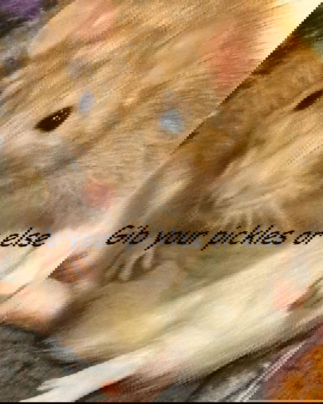 iamm3dusa instagram image archive image