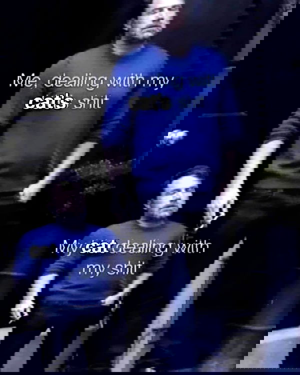 iamm3dusa image ~ Altpins