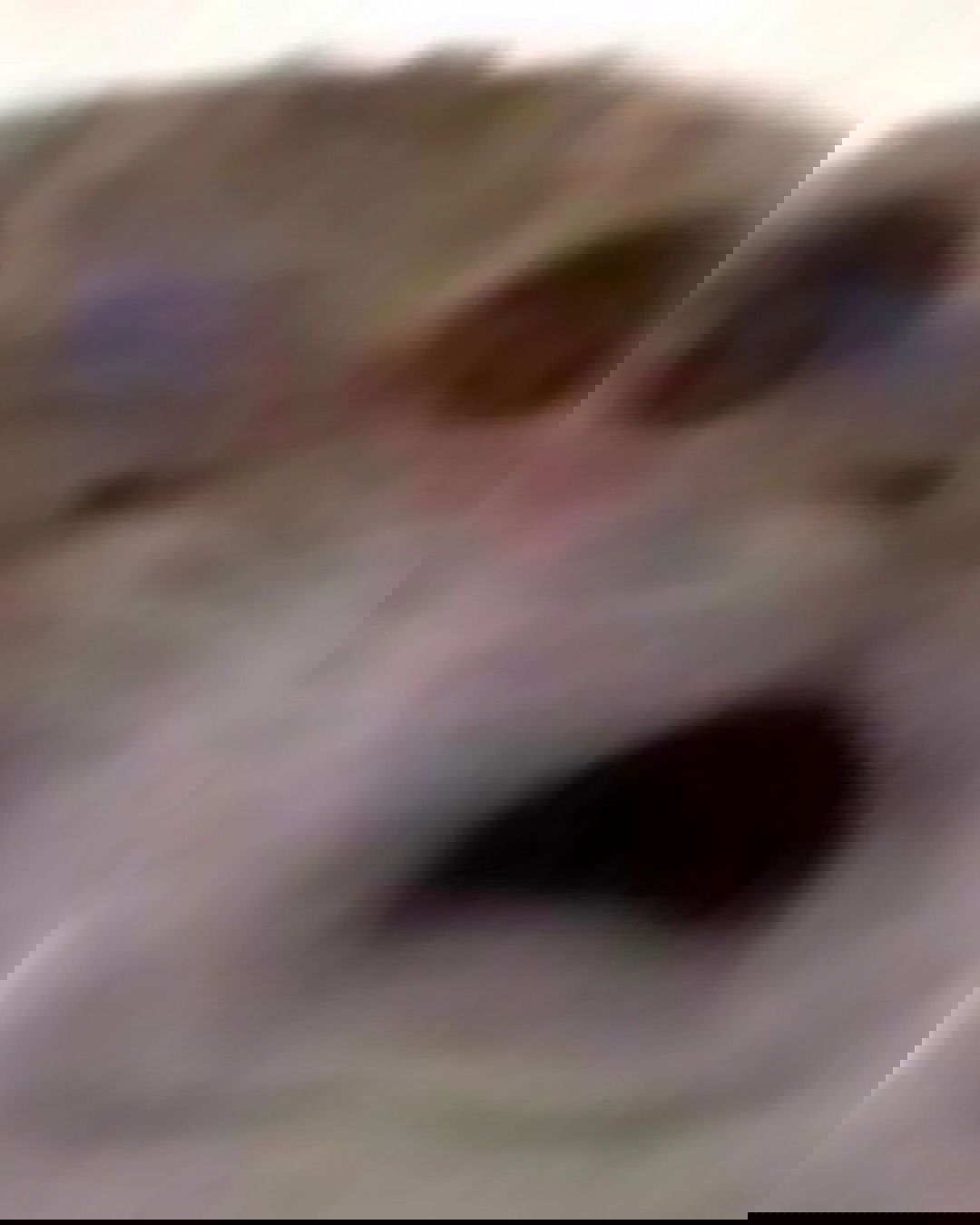 iamm3dusa instagram image archive image