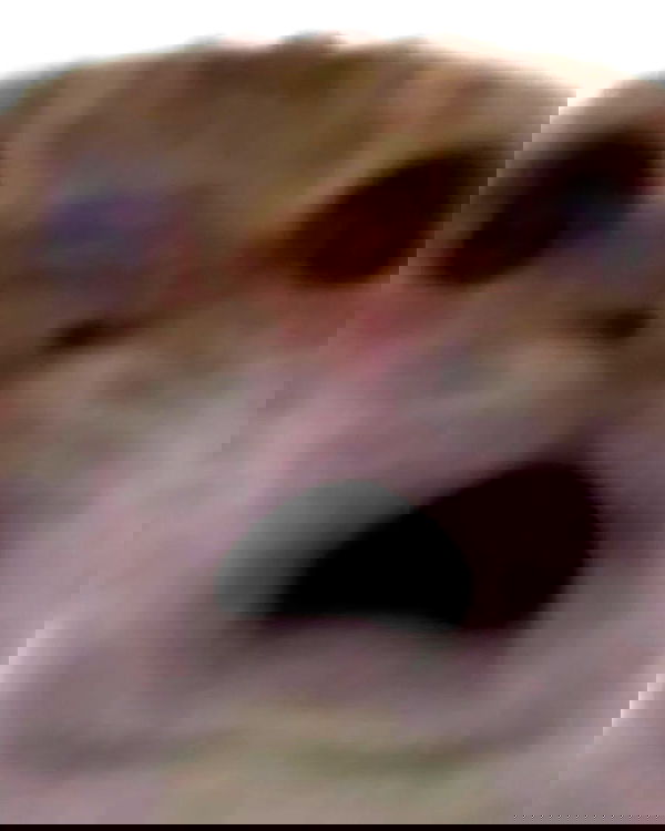 iamm3dusa image ~ Altpins